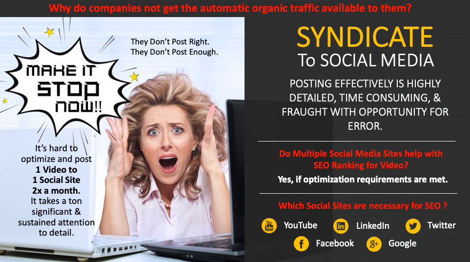 SYNDICATE FOR SEO